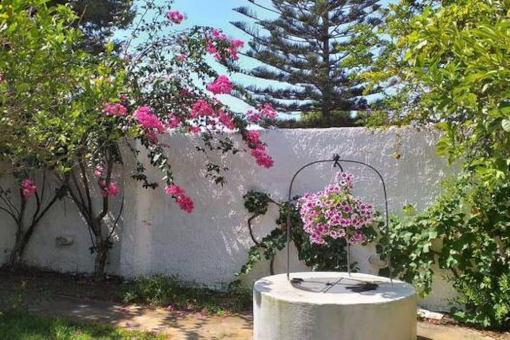 Villa Mozia Riserva Dello Stagnone Marsala Eksteriør billede